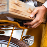 ATRAN VELO WOODY FRUIT – AVS-puukori